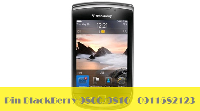 Pin BlackBerry 9800 9810