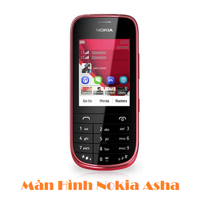 Màn hình Nokia Asha 202 RM-834