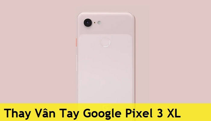Thay Cáp Cảm Biến Vân Tay Google Pixel 3 XL