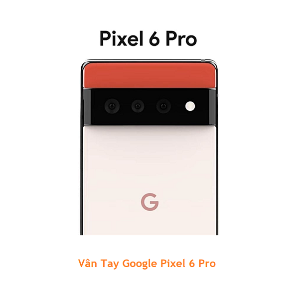 Vân Tay Google Pixel 6 Pro