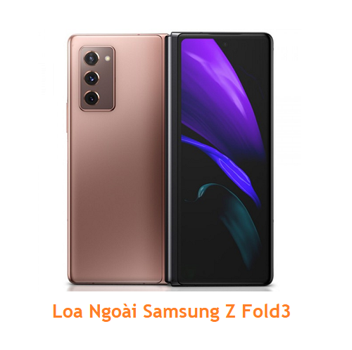 Loa Ngoài Samsung Z Fold3