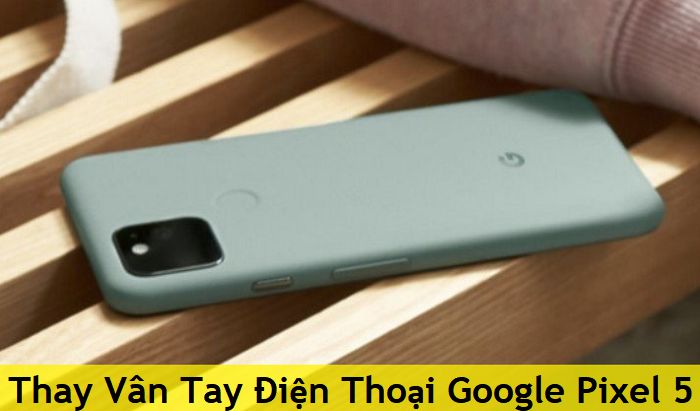 Thay Vân Tay Điện Thoại Google Pixel 5
