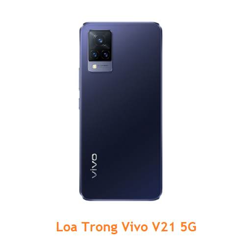Loa Trong Vivo V21 5G