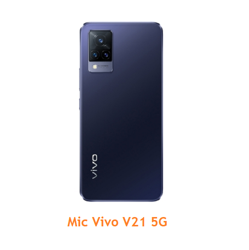 Mic Vivo V21 5G