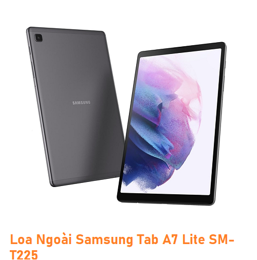 Loa Ngoài Samsung Tab A7 Lite SM-T225