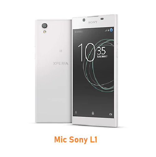 Mic Sony L1