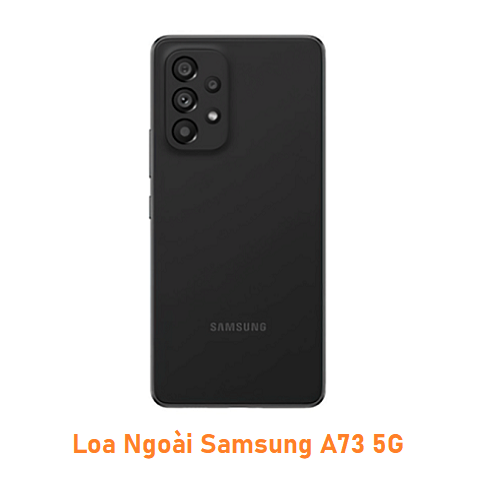 Loa Ngoài Samsung A73 5G