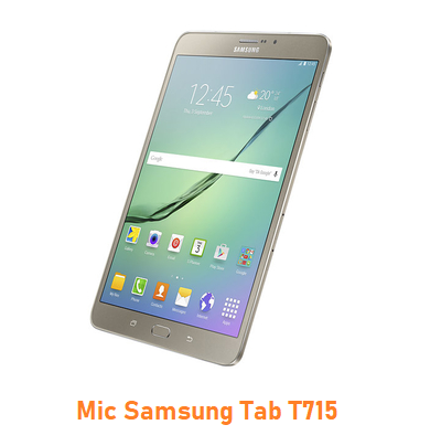 Mic Samsung Tab T715