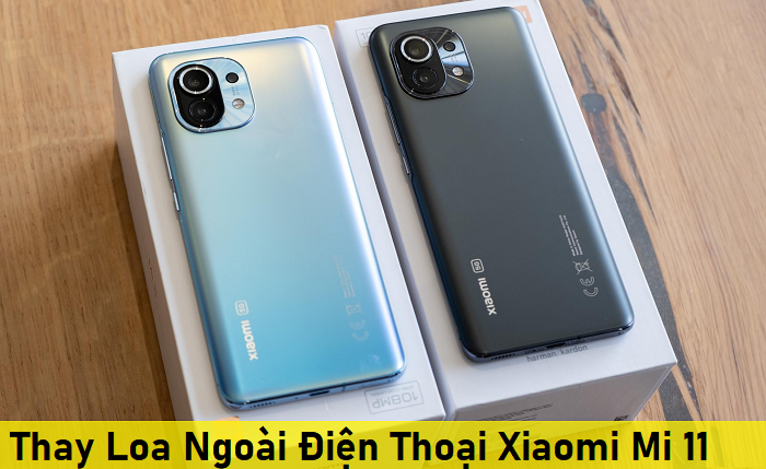 Thay Loa Ngoài Điện Thoại Xiaomi Mi 11