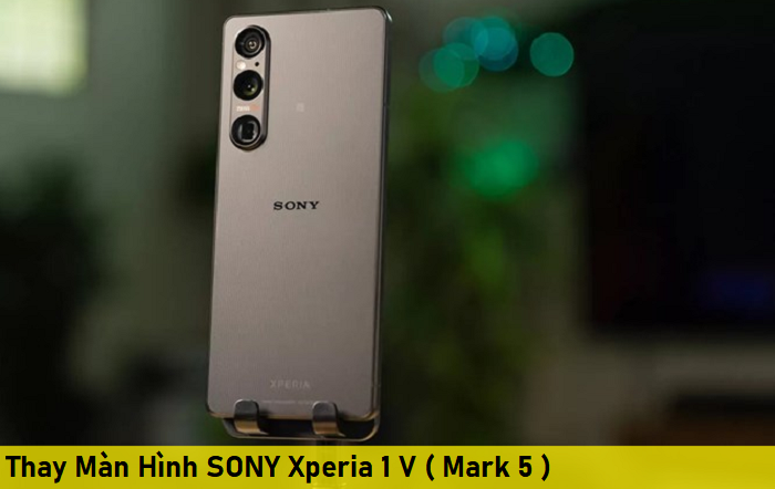 Thay Màn hình điện thoại SONY Xperia 1 V ( Mark 5 )