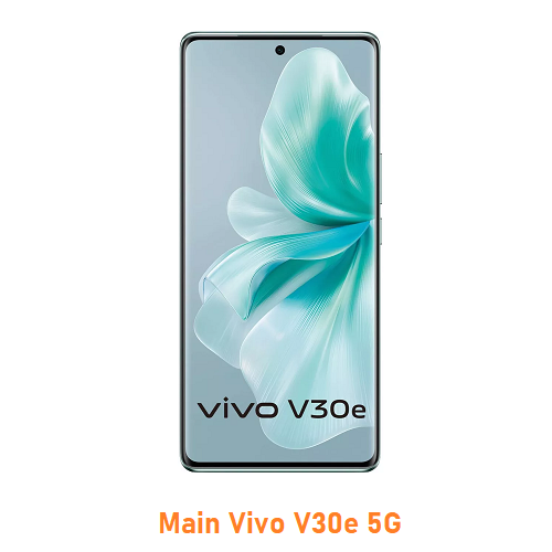 Main Vivo V30e 5G