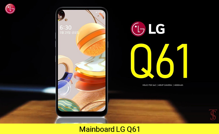 Main LG Q61