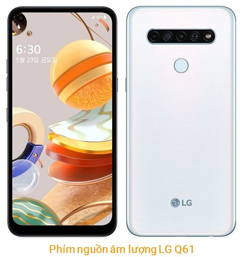 Phím Nguồn Âm lượng LG Q61