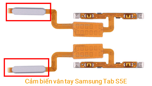 Cảm biến Vân Tay Samsung S5E