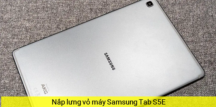 Nắp Lưng Vỏ máy Samsung Tab S5E