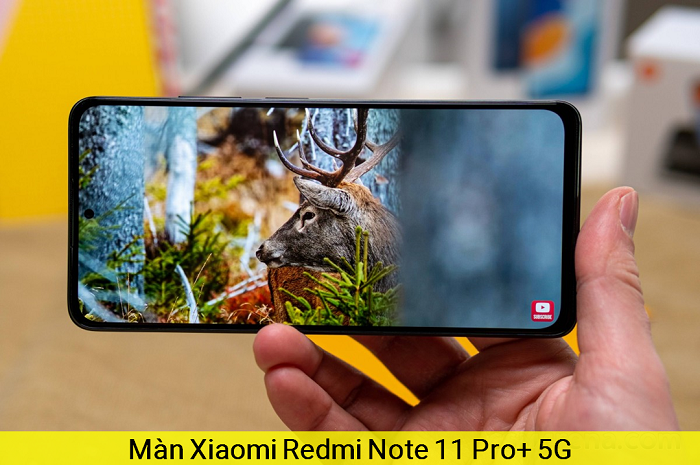 Màn hình Xiaomi Redmi Note 11 Pro Plus 5G (Xiaomi Redmi Note 11 Pro Plus 5G (Redmi Note 11 Pro+ 5G))