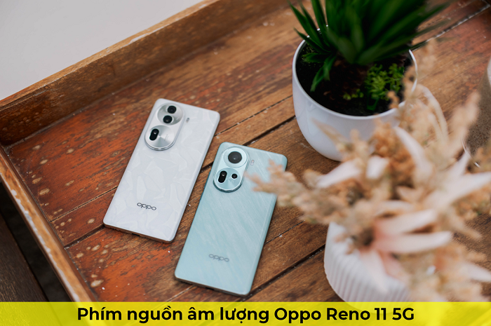 Phím Nguồn Âm lượng Oppo Reno 11 5G