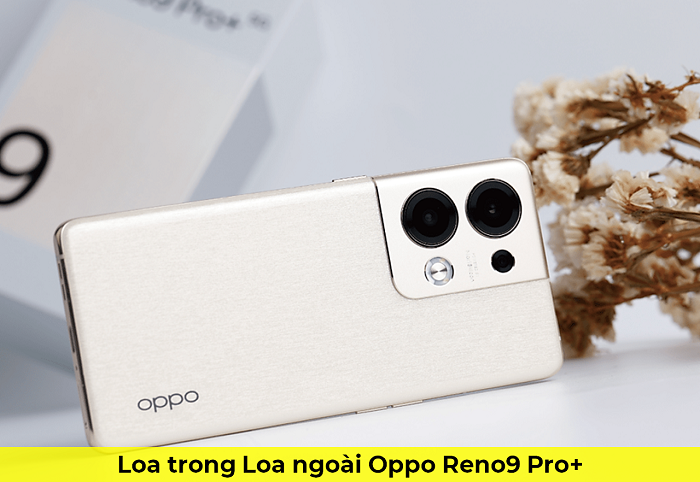 Loa trong Loa Ngoài Oppo Reno9 Pro+