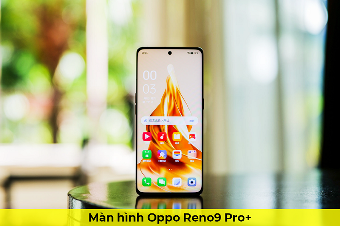 Màn Hình Oppo Reno9 Pro+