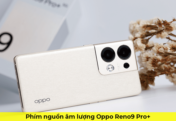 Phím Nguồn Âm lượng Oppo Reno9 Pro+