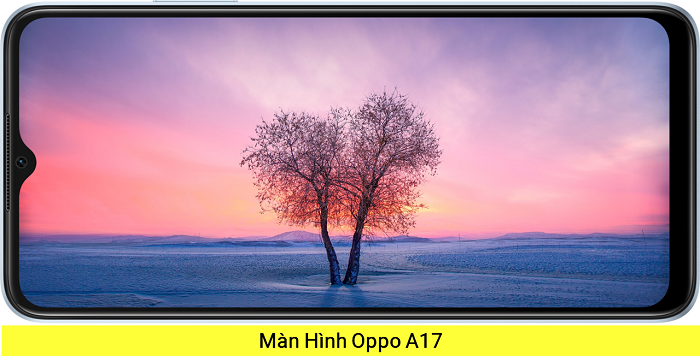 Màn hình Oppo A17