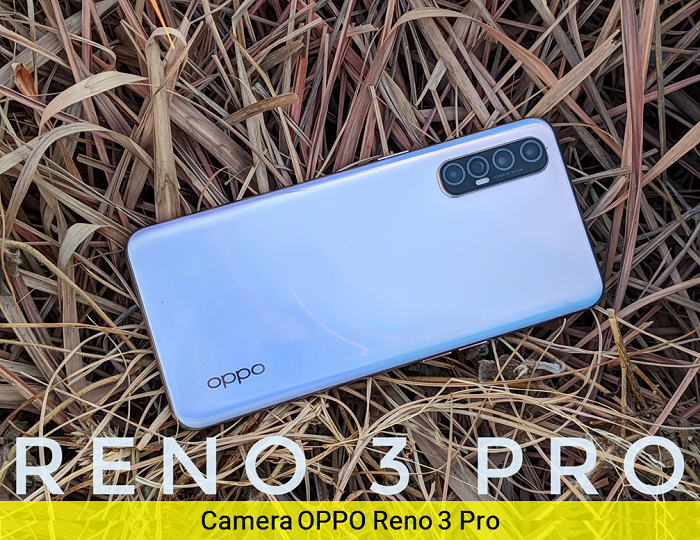 Camera Oppo Reno 3 Pro