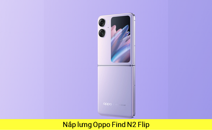 Thay Nắp Lưng Oppo Find N2 Flip