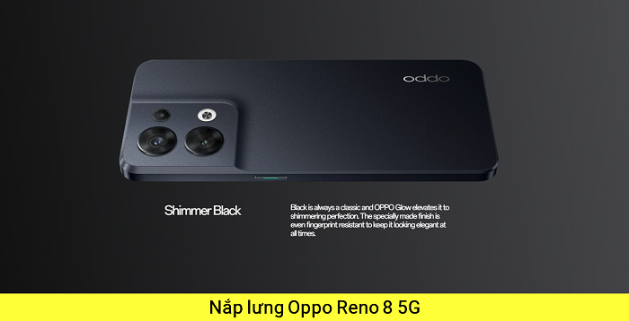 Nắp lưng Oppo Reno 8 5G