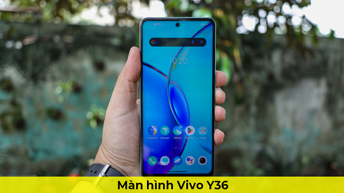 Màn Hình Vivo Y36