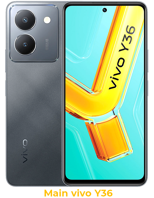 Main Vivo Y36