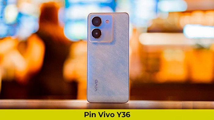 Pin Vivo Y36