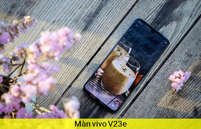 Màn hình điện thoại Vivo V23e