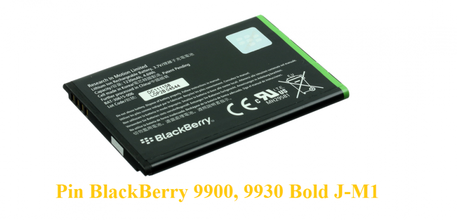 Pin BlackBerry 9900, 9930 Bold JM1