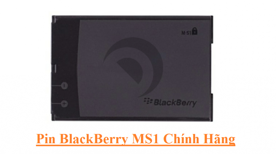 Pin BlackBerry Ms1
