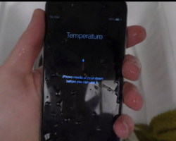 Điện thoại iPhone 6 bị nướng cùng gà tây 4 tiếng