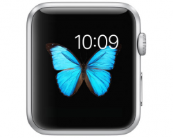 Màn hình của Apple Watch một màn hình đẹp giá rẻ đến bất ngờ